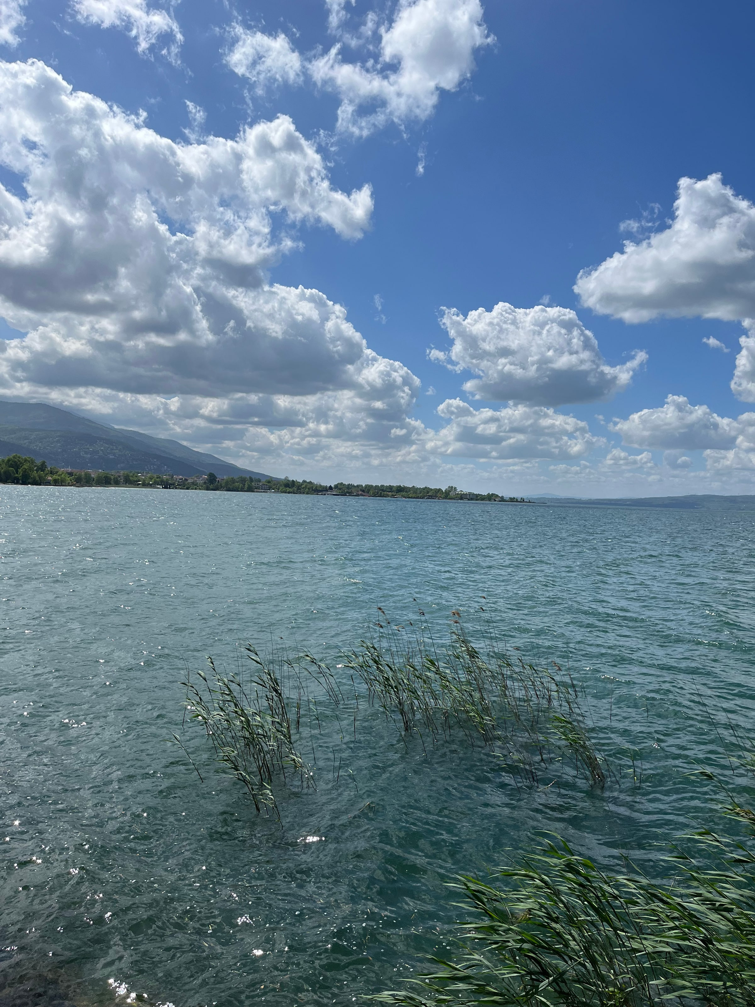 Sapanca Gölü'nün turkuaz suları
